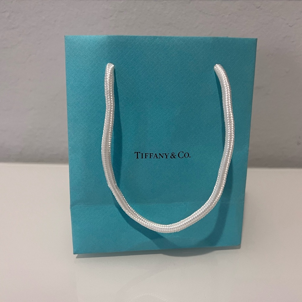 Tiffany & Co gift bag